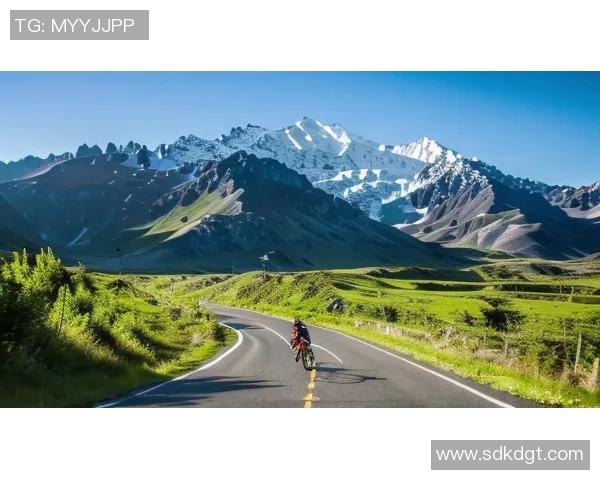 极限运动的魅力与挑战杨芳分享她的激情与坚持之路MBA